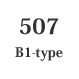 507@B1